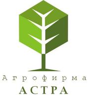 Продовольственный и семенной картофель от производителя