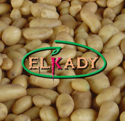 Картофель из Египта (Potatoes from Egypt)