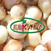 Лук из Египта (Onions from Egypt)