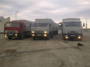     предлагаю        зерно кукурузу жмых