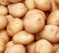 картофель,  -лук,  -капуста,  -морковь,  -свекла.  