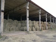сено 2011 луговое и разнотравие