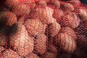 Продам картофель из Беларуси 