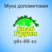 ДОЛОМИТОВАЯ МУКА в мешках и биг-бегах