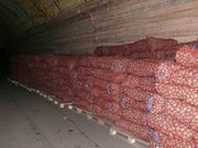 КАЧЕСТВЕННЫЙ СЕМЕННОЙ КАРТОФЕЛЬ. СОРТ РЕД-СКАРЛЕТТ-2АЯ.РЕПР.ИМПАЛА