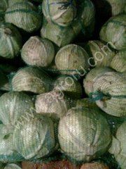 Капуста Картофель Свекла Недорого