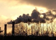 Принимаем биоотходы в Рязани