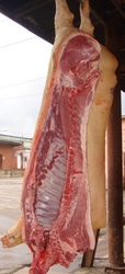 Продам свинину оптом,  мясо свинины в полутушах,  свинина беконная