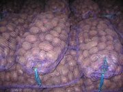 Картофель, лук, морковь, капуста белокачанная, мандарины, апельсины