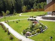 Обрезка плодовых