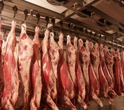 продукты питания в ассортименте