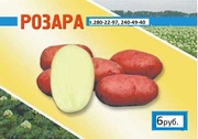 Продам картофель оптом