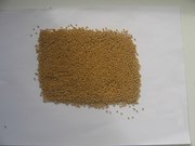 Продам семена горчицы белой на сидерат