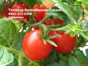 Теплица Кремлёвская-СКАЗКА,  из поликарбоната.