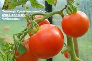 Теплица Кремлёвская-Люкс,  из поликарбоната.