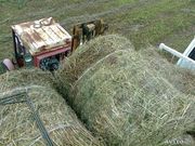 Принимаем заказы на покос сено июль-2013 c доставкой