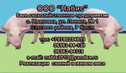 Недорогое мясо свинины