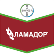 Протравитель зерновых культур-Ламадор (Байер)