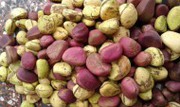 орехи кола  какао бобы