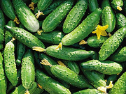 Овощи из Кубани (Адыгея)