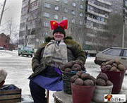 Продаем картофель в розницу