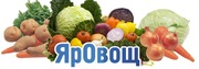 ЯрОвощ   Доставка овощи,  фрукты,  салаты,  свежая зелень.   Доставка 
